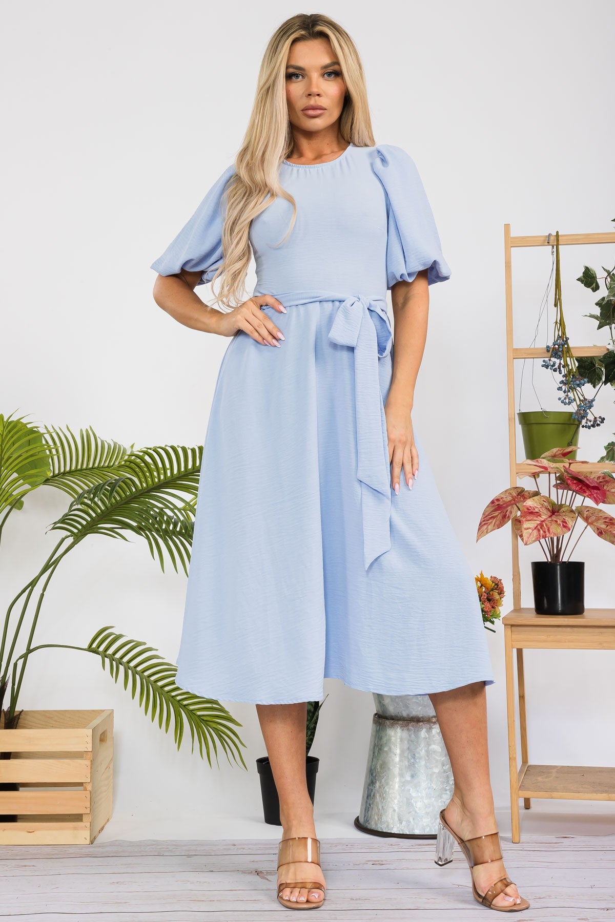 Princess Sleeve Belted Dress